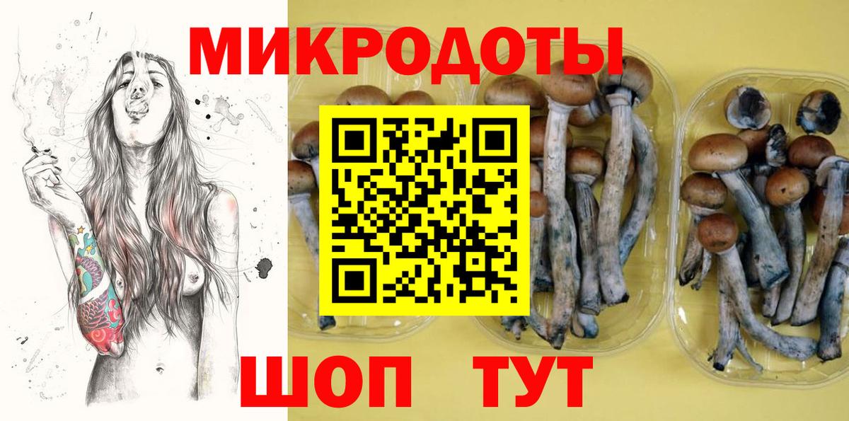 Псилоцибиновые грибы мицелий  Вход с VPN  Мценск 